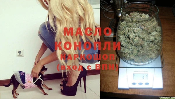 индика Бугульма