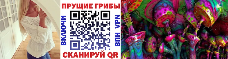 Псилоцибиновые грибы GOLDEN TEACHER  наркотики  Калязин 